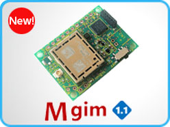 MGIM V1.1